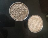 बाजरे का भात (Bajre ka bhat recipe in Hindi) रेसिपी चरण 1 फोटो