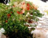 A picture of step 4 of Tzatziki / Greek Style Cucumber (kheera) Raita.