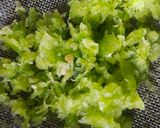A picture of step 1 of Capsicum halwa.