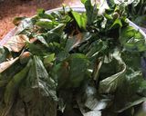 صورة لخطوة 2 من وصفة ملوخيه 🌱🍃🍃🌱