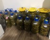 عکس مرحله 6 از دستور خیار شور با فرمول ۱۷:۱:۱ 🥒