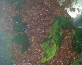 Foto langkah ke 3 dari resep Ikan Masak Merah bumbu sederhana.