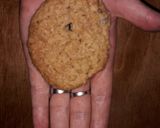 Foto del paso 9 de la receta: Galletitas de avena y pasas