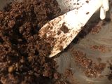 Galletas de quinoa inflada, cacao y coco