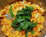 Une image de l'étape 4 de Soupe courge / pommes de terre / fan de navet.