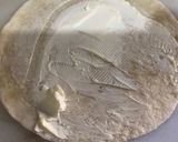 Foto del paso 1 de la receta: Rapiditas
