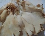 Foto del paso 6 de la receta: Hongos salteados con ajo