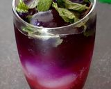A picture of step 3 of Sprite Herbal Tea Concoction.