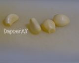Foto langkah ke 2 dari resep Pakcoy Bawang Putih.