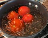 Chad's salsa recipe step 1 photo