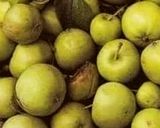 Φωτογραφία βήματος 1 της συνταγής Κέικ με άγρια μήλα και καρύδια