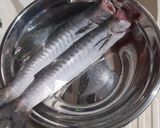 Foto langkah ke 1 dari resep Pempek Adaan.