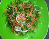 Hình bước làm 3 của món Gỏi bò bóp rau ngổ (Bố nấu)