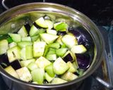Foto langkah ke 2 dari resep Sayur lodeh dua bahan.