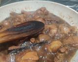 Red Braised Chicken Thighs recipe step 4 photo