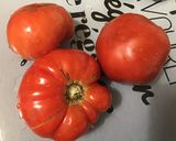 Une image de l'étape 3 de Dahl de lentilles jaunes aux carottes violettes, tomates et courgette.