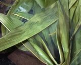Foto langkah ke 1 dari resep Bacang Ketan (Rebus Mejikom).