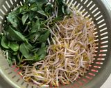 Foto langkah ke 1 dari resep Sayur Bening Katuk, Labu Air.