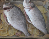 Foto del paso 5 de la receta: Dorada al horno con almejas, gambón, patatas y chipirones