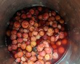 A picture of step 1 of Phalsa chutney.
