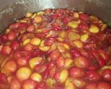 Une image de l'étape 4 de Confiture de prunes très facile et inratable.
