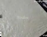 A picture of step 5 of Fougas Pizza with All-Purpose Flour.
