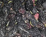 Foto del paso 1 de la receta: Dulce de moras
