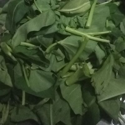 Langkah 1