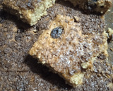 Foto del paso 4 de la receta: Cuadrados de avena y chocolate!