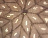 A picture of step 5 of Kibbeh bil Sanieh (Baked Kibbeh).