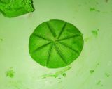 A picture of step 8 of Egg less cookies.
