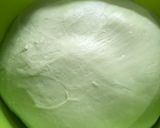 Foto langkah ke 4 dari resep #67 Pandan Milk Bread.