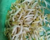 Foto langkah ke 1 dari resep Tumis Kangkung Tauge.