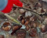 Gambar langkah 7 resipi Kerang masak kicap pekat likat.