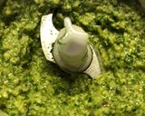 A picture of step 2 of Trofie with Arugula and Walnut Pesto.