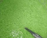 Foto langkah ke 2 dari resep Puding Telur Dinosaurus (Puding Lumut Daun Kelor).