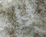 Foto langkah ke 2 dari resep Chiken Dynamite.