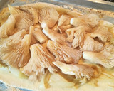 Foto del paso 7 de la receta: Coca de setas de cardo