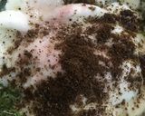 A picture of step 3 of Pudina chutney.
