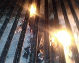 Foto del paso 3 de la receta: Matambre de Ternera a la pizza