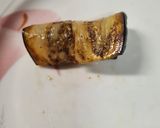 Foto del paso 8 de la receta 41. Rollitos de berenjena