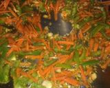A picture of step 9 of Macroni.