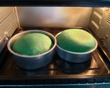 A picture of step 17 of Watermelon Slices.