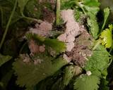 Whole-wheat beetroot pani puri recipe step 5 photo