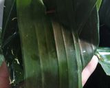 Foto langkah ke 4 dari resep Botok bandeng sederhana.