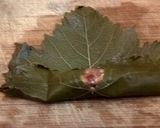 Foto del paso 5 de la receta: Hojas de parra rellenas con muchas especias
