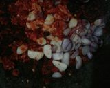 Foto langkah ke 2 dari resep Udang pete balado.