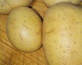 Foto del paso 1 de la receta Patatas confitadas al aroma de langostinos al ajillo