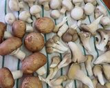 Gombapaprikás juhtúrós puliszkával recept fázis 1 fotója