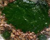 A picture of step 5 of Palak paneer.
